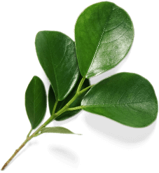 Кухни дешево Мозырь